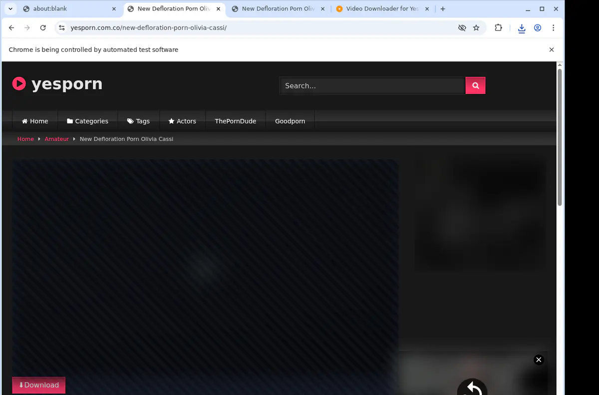 Yesporn Video Downloader screenshot 2