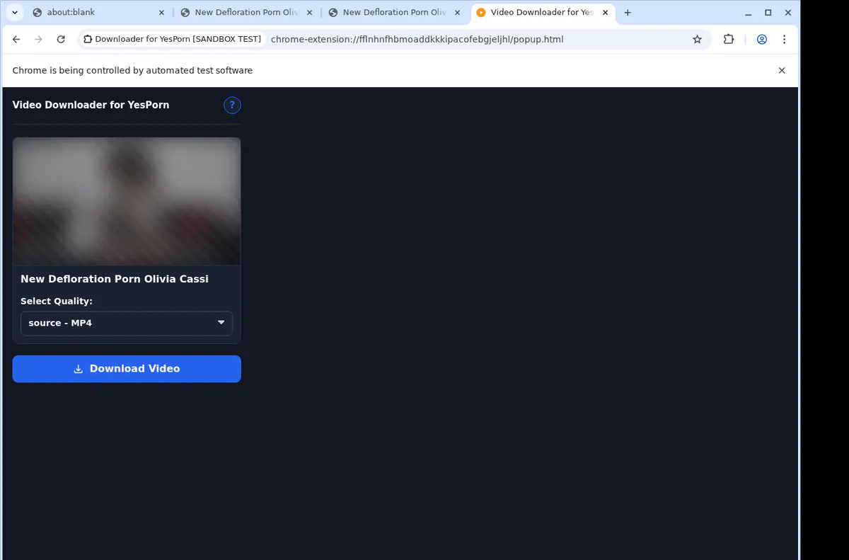 Yesporn Video Downloader screenshot 4