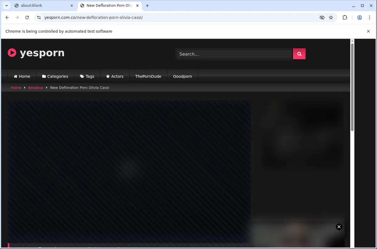 Yesporn Video Downloader screenshot 5